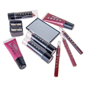 SHANY Carry All Trunk Professional Makeup Kit