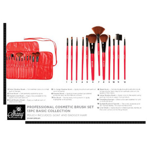 SHANY Professional Cosmetic Brush Set