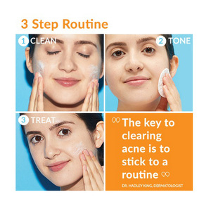 AcneFree Oil Free 24 Hour Acne Clearing System