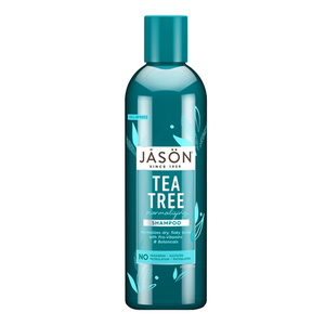 Jason Normalizing Tea Tree Treatment Shampoo