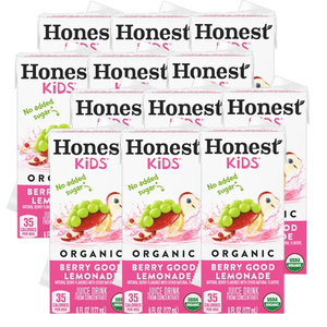 Honest Kids Berry Berry Good Lemonade Organic Juice Drink 12 Pack (177ml per pack)