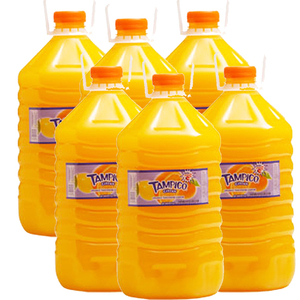 Tampico Citrus Drink 6 Pack (6L per bottle)