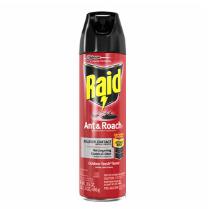 Raid Ant & Roach Outdoor Fresh 496g