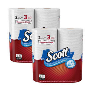 Scott Paper Towels 2 Pack (2 Rolls per Pack)