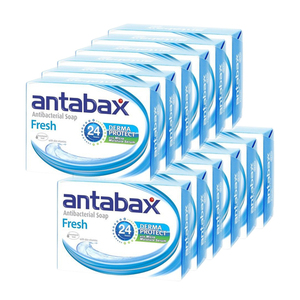 Antabax Fresh Antibacterial Soap 2 Pack (6x120g per Pack)