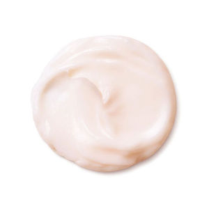 Shiseido Bio-Performance Advanced Super Restoring Cream
