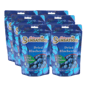 Nature's Sensation Dried Blueberries 6 Pack (170g per Pack)