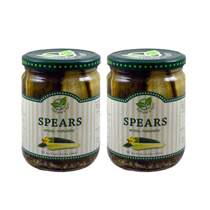 Nature's Turn Pickle Spears 2 Pack (555.6g per pack)