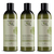 Earthly Body Miracle Oil Tea Tree Conditioner 3 pack (475ml per pack)