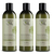Earthly Body Miracle Oil Tea Tree Shampoo 3 pack (475ml per pack)