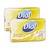 Dial Gold Antibacterial Soap Bar 2 Pack (113g per pack)