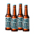 Brewdog Punk IPA Ale Bottle 4x330ml