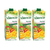 Valencia Nectar Variegated 7 Fruits 3 Pack (1L per pack)
