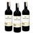Terra Vega Merlot Red Wine 3 Pack (750ml per Bottle)