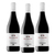 San Valentin Garnacha Red Wine 3 Pack (750ml per Bottle)