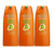 Garnier Fructis Damage Eraser Shampoo 3 Pack (751.1ml per pack)