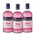 Ginbery\'s Rose Distilled Gin 3 Pack (700ml per Bottle)