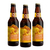 Craftpoint Summer Sessions Blonde Ale 3 Pack (330ml per Bottle)