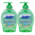 Softsoap Liquid Antibacterial Hand Soap 2 Pack (221.8ml per pack)