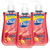 Dial Pomegrante Hand Soap 3 Pack (221.8ml per pack)
