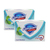 Safeguard Family Germ Protection Cool Menthol 2 Pack (135g per pack)