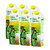 Chios Garden Lemon Fruit Drink 6 Pack (1L per pack)