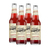 Bruce Cost Pomegranate with Hibiscus Unfiltered Ginger Ale 4x355ml